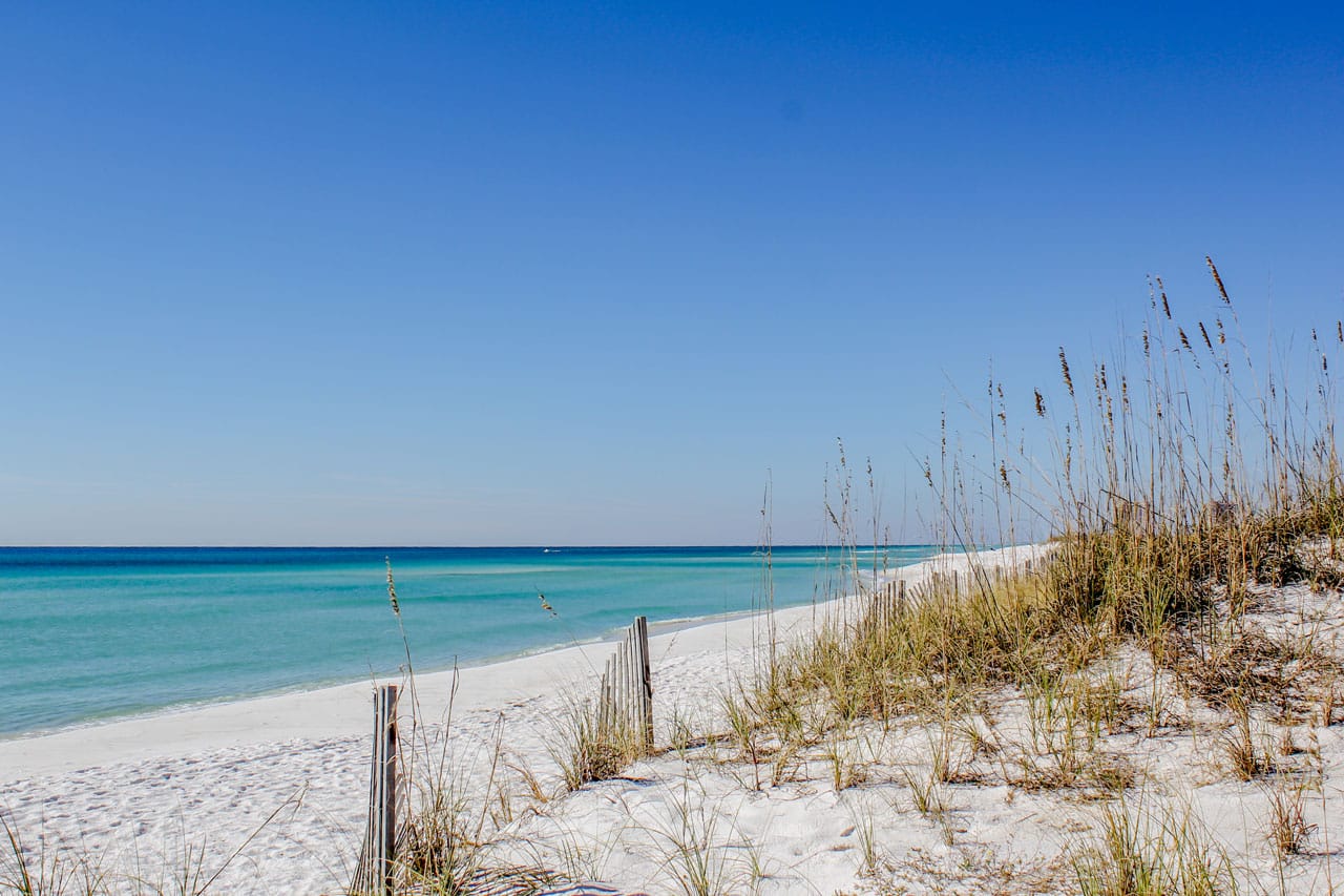 Two New Dining Spots on Pensacola Beach