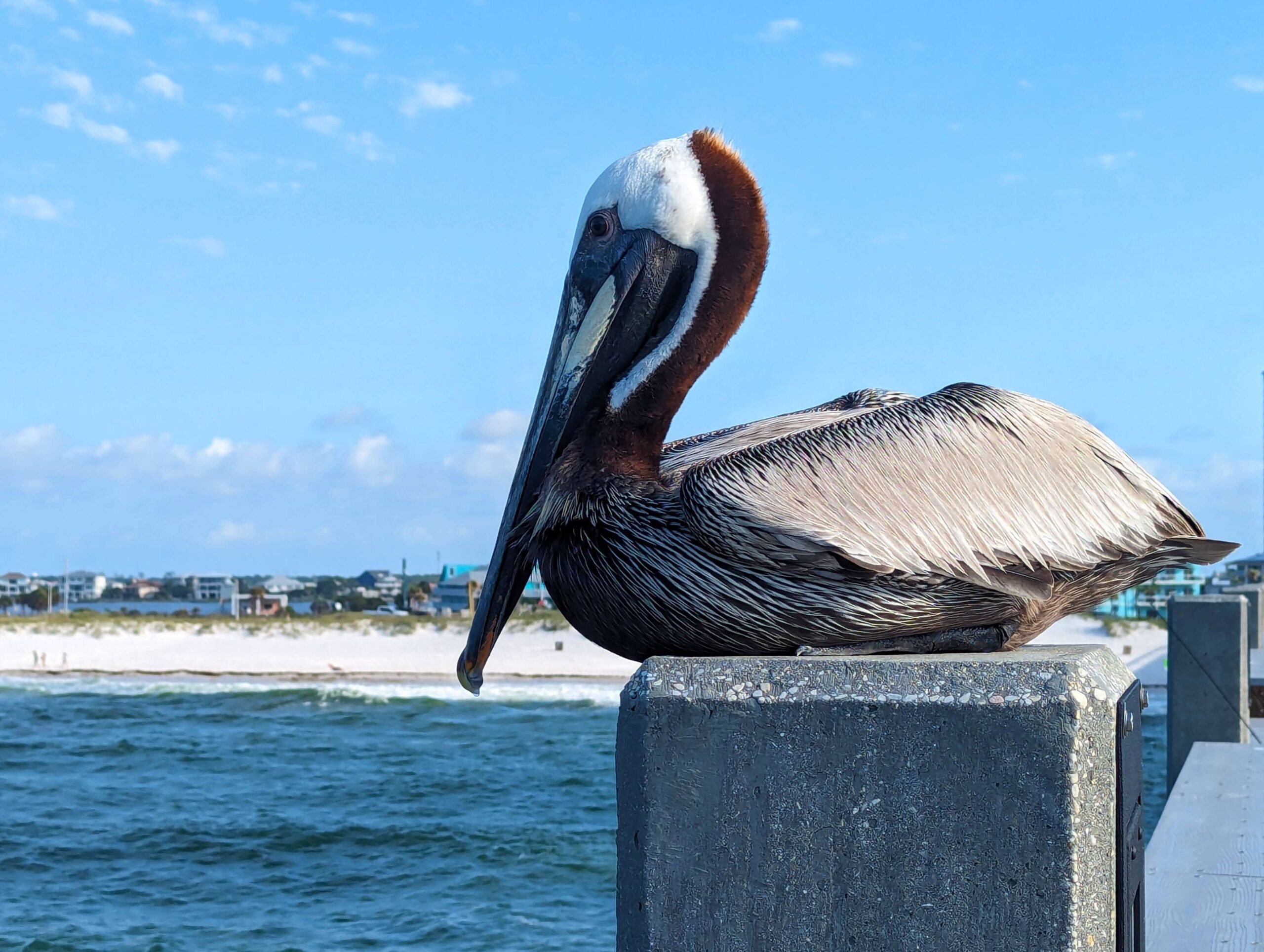 Pensacola Beach Day