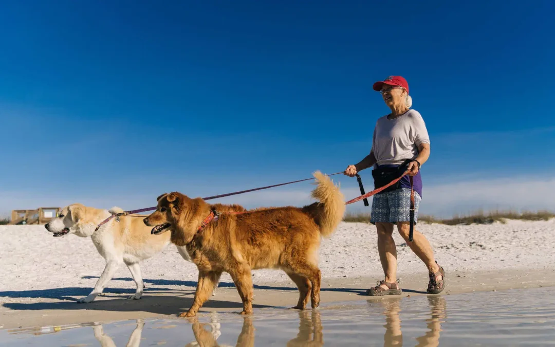 4 Reasons to Stay at Pet-Friendly Pensacola Beach Hotels