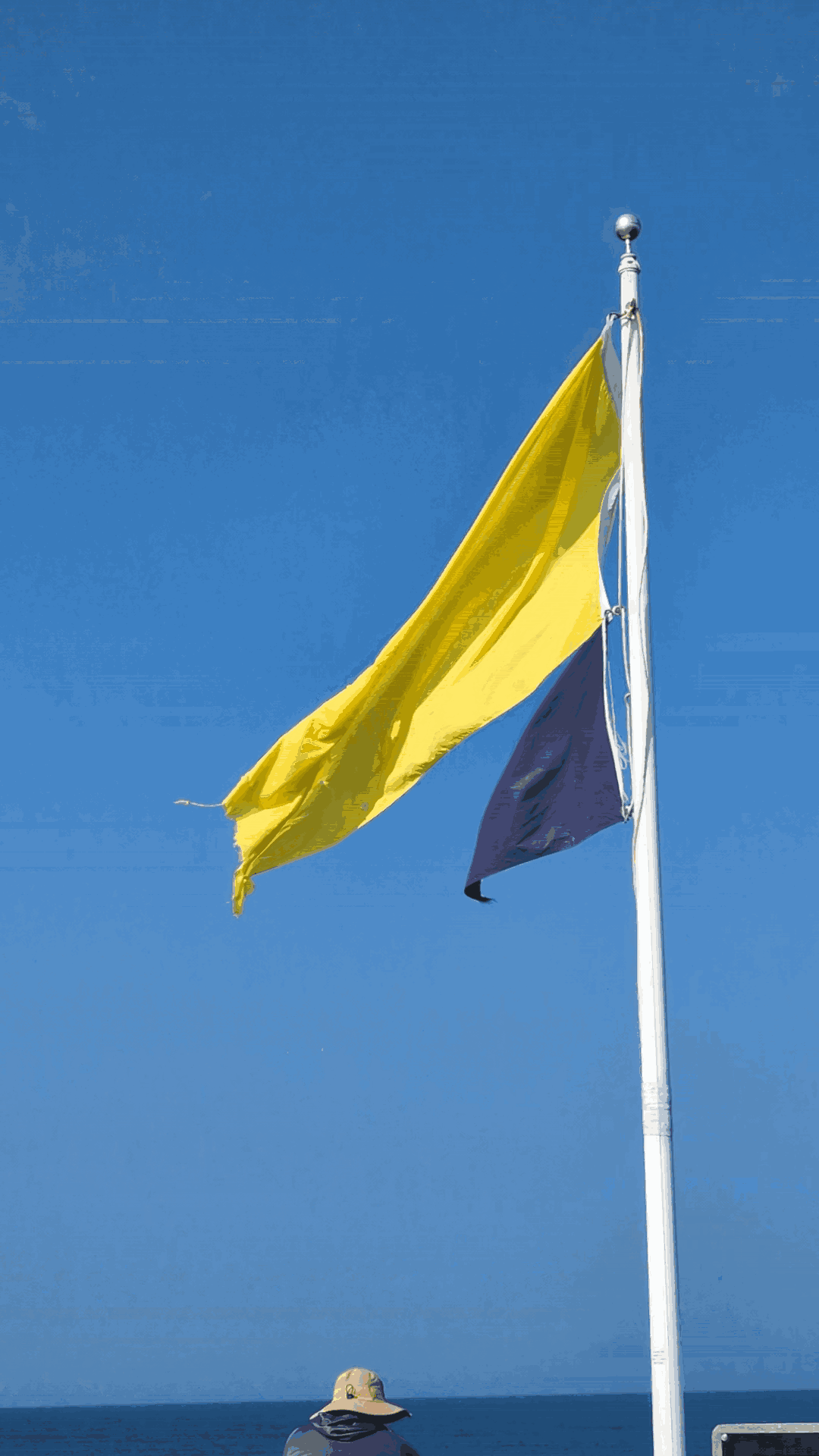 Purple Flag
