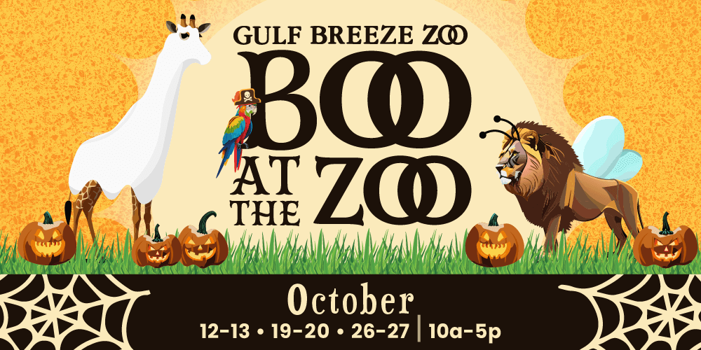 boo at the zoo