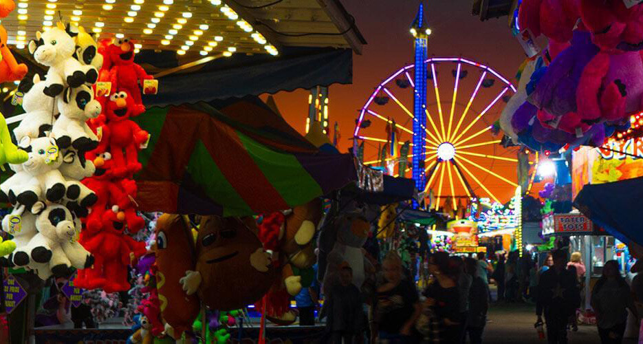 the fair (1)
