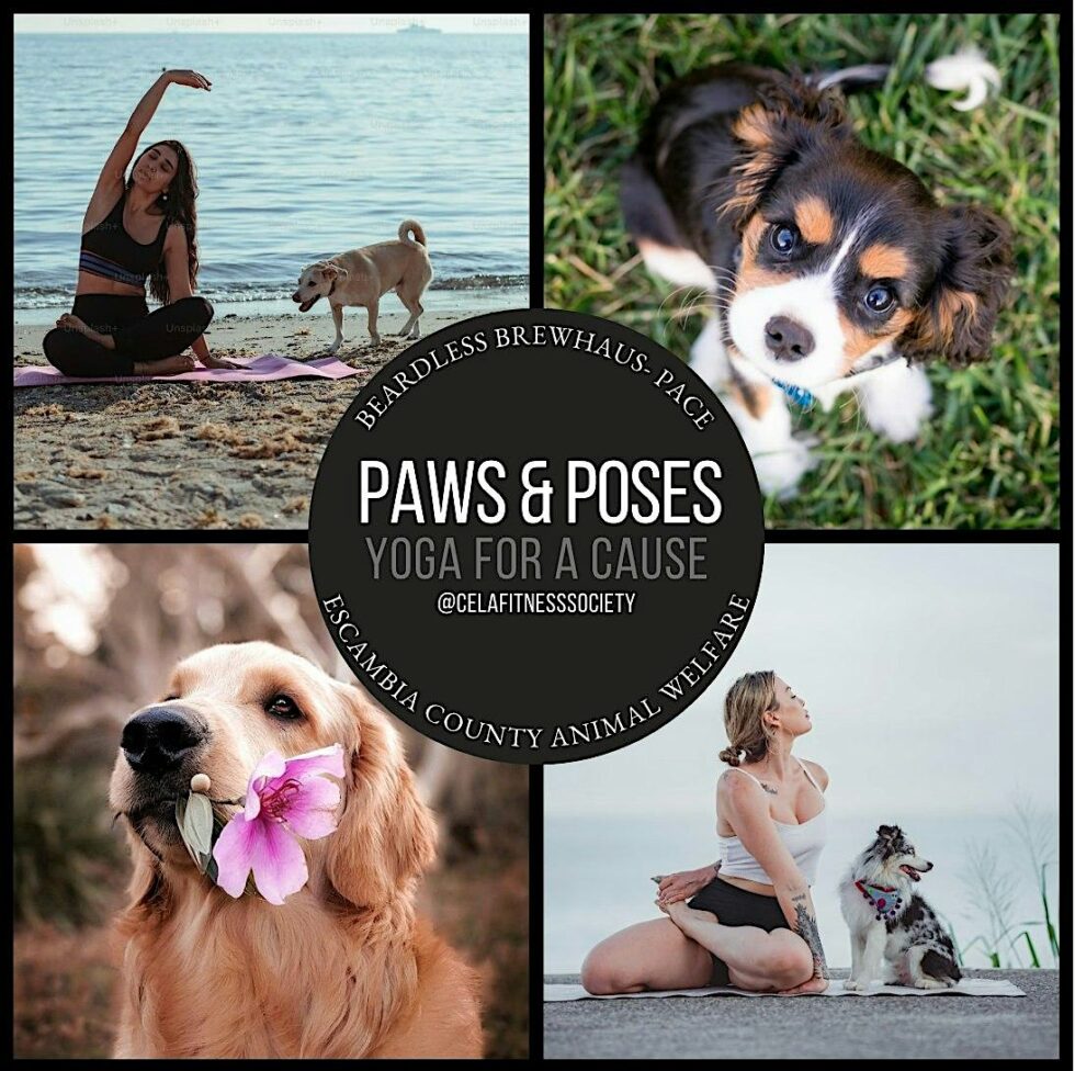 Paws & Poses: Yoga for a Cause - PensacolaBeach.com