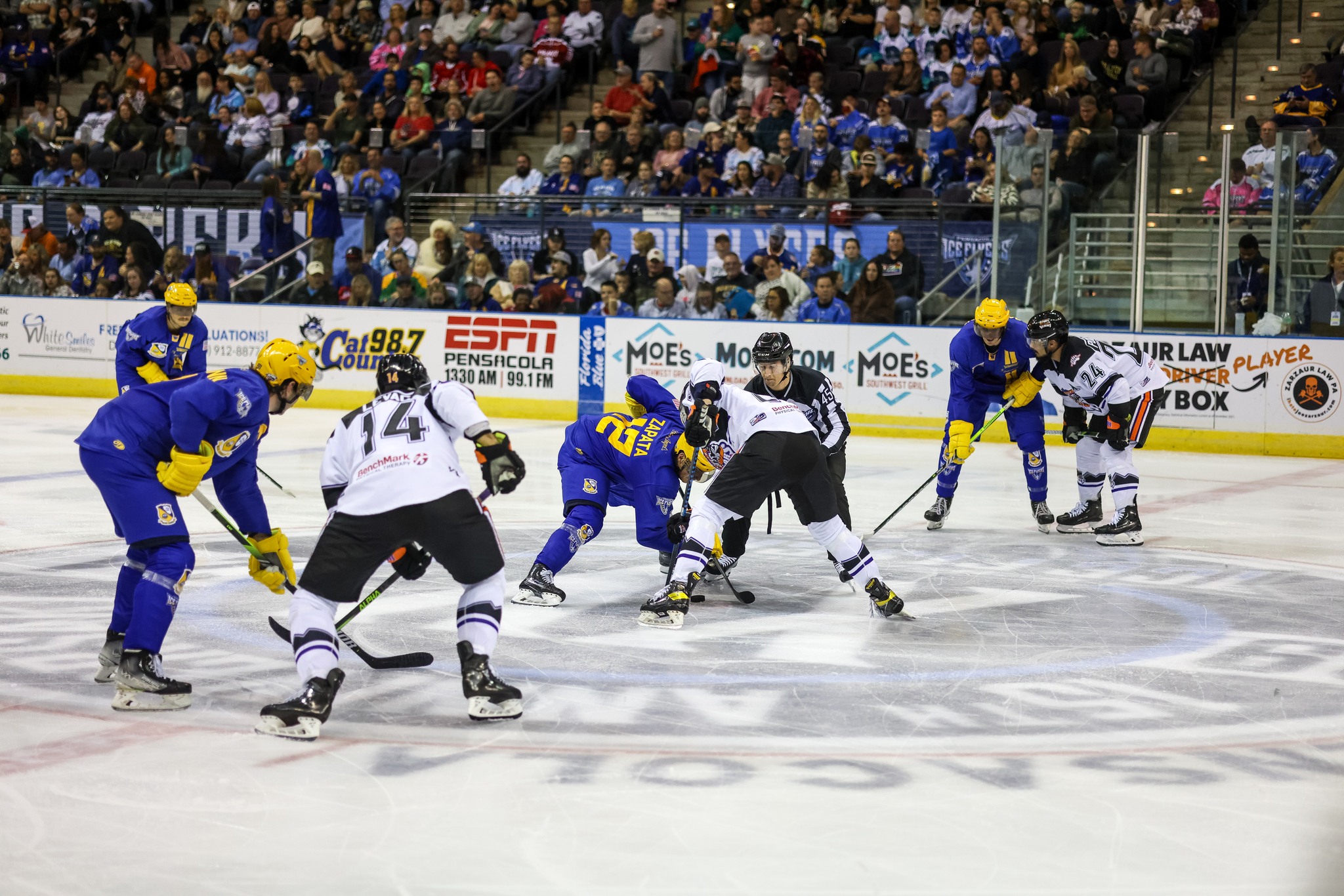 Ice Flyers Photo courtesy of Foo Foo Fest