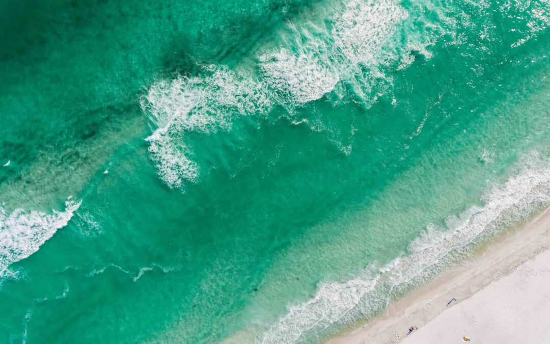 2025 February Happenings on Pensacola Beach