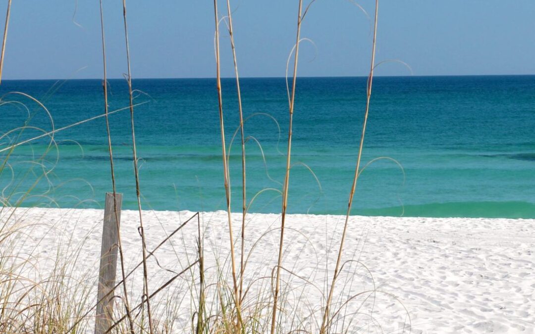 Activities on Pensacola Beach