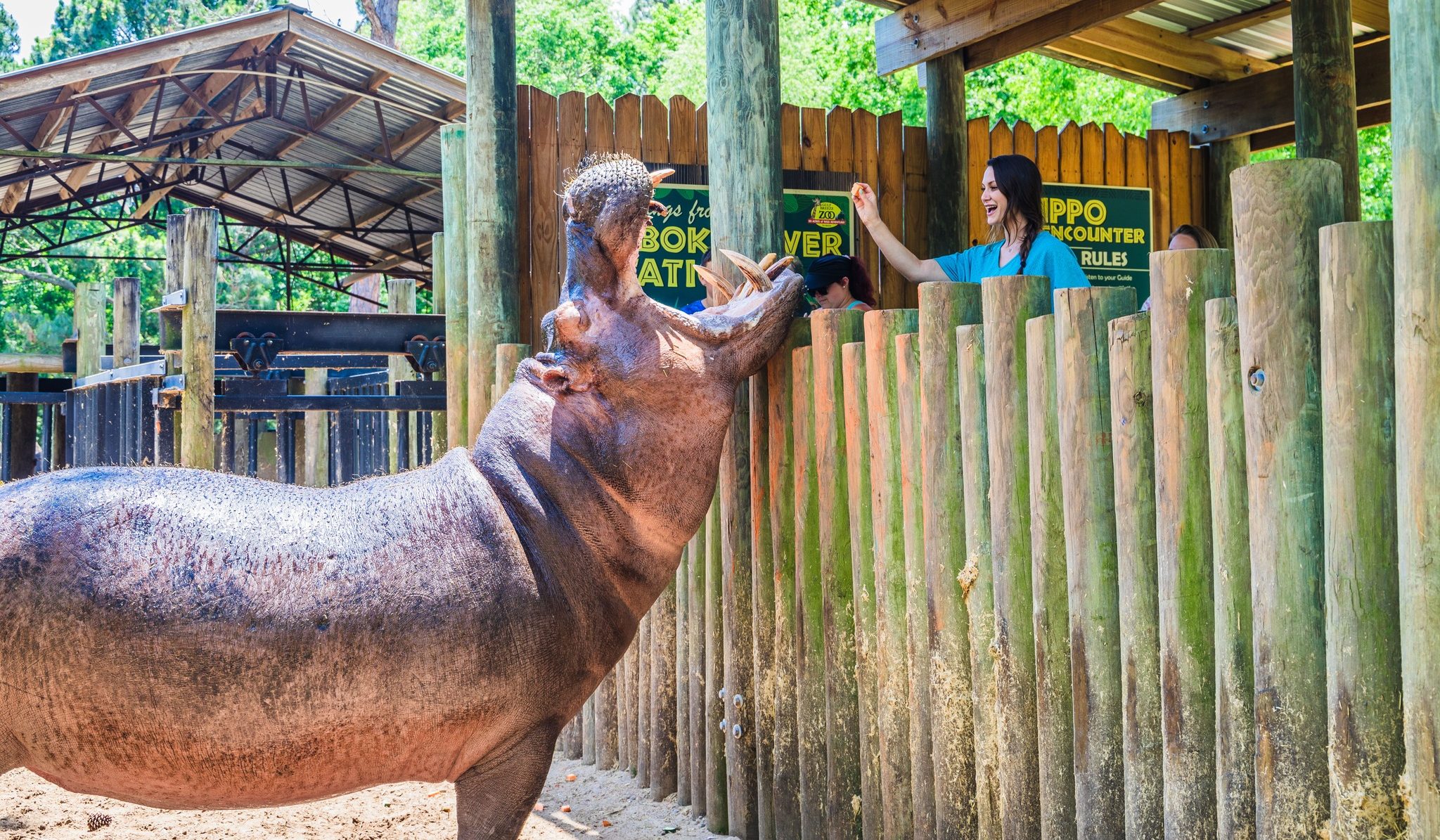 Via Gulf Breeze Zoo
